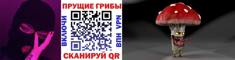 Псилоцибиновые грибы Cubensis  купить наркоту  Ржев 